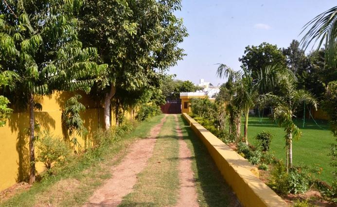 Hotel Tiger Regency Resort Sawai Madhopur Buitenkant foto